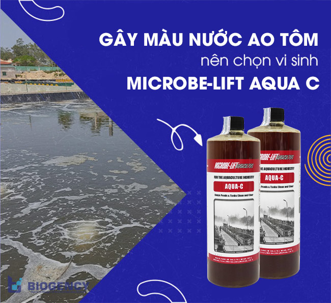 Vi sinh gây màu nước ao nuôi tôm hiệu quả nhất Microbe Lift AQUA C