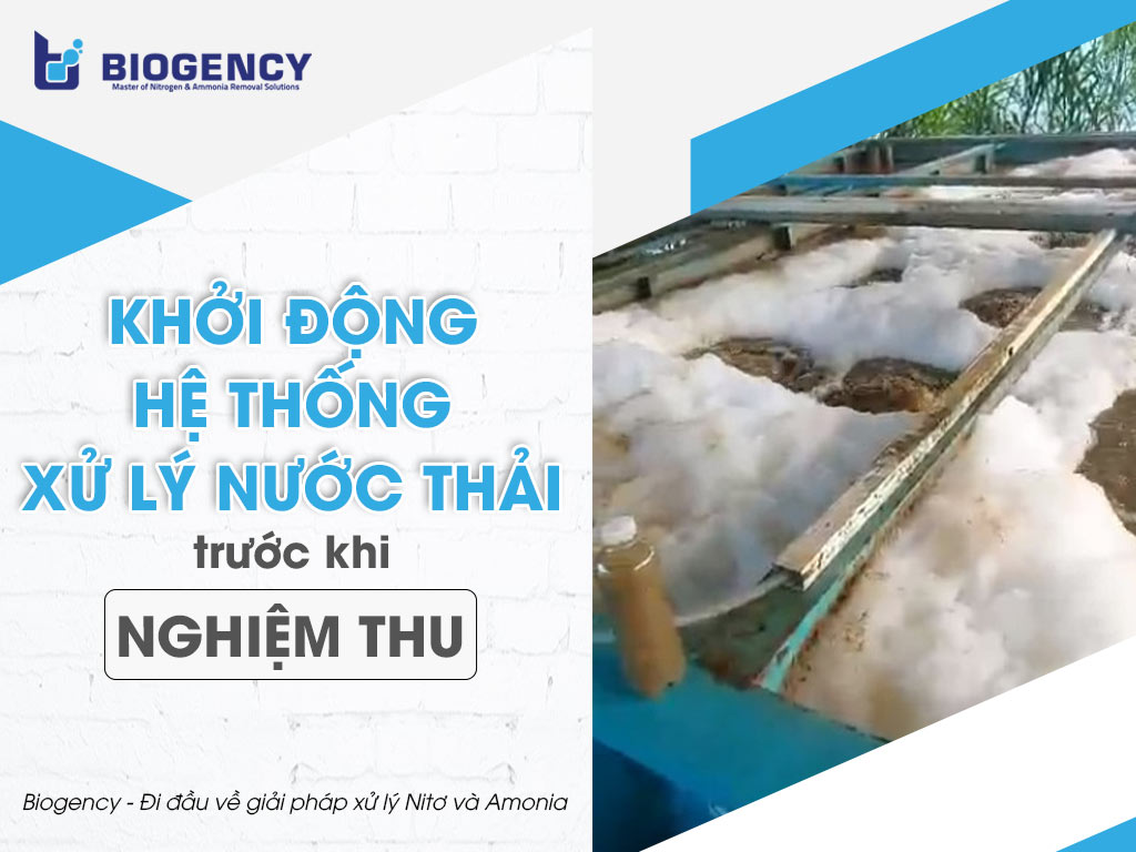 Khởi động Hệ thống xử lý nước thải trước khi nghiệm thu