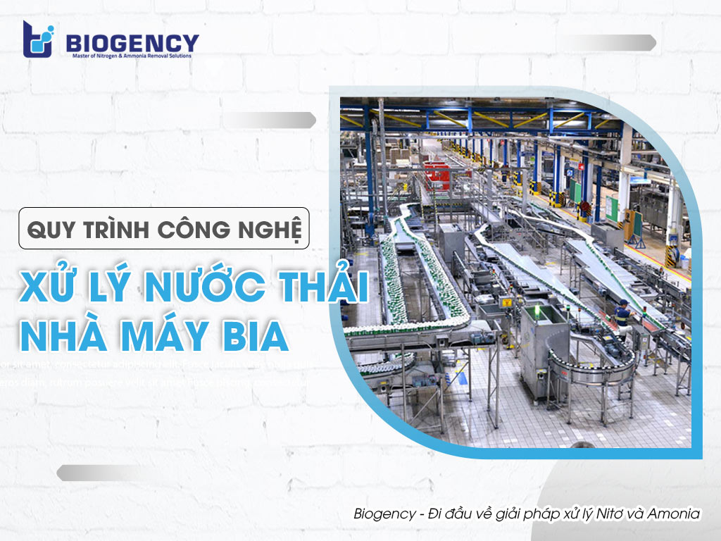 Quy trình công nghệ xử lý nước thải nhà máy bia Biogency