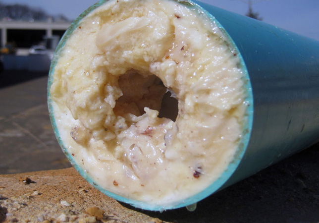 Dầu mỡ bám trên thành ống, gây tắc nghẽn