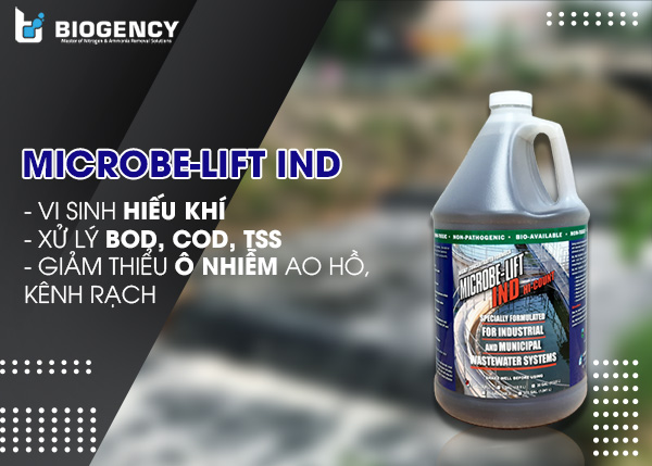 Vi sinh Microbe-Lift xử lý ô nhiễm ao hồ, kênh rạch