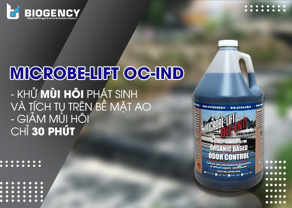 Vi sinh Microbe-Lift xử lý ô nhiễm ao hồ, kênh rạch