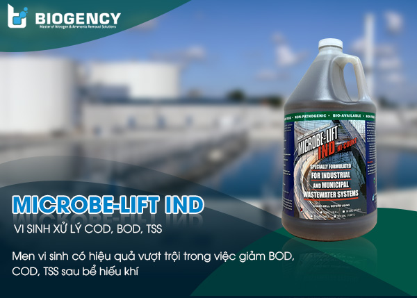 Vi sinh Microbe-Lift IND - Giảm BOD, COD, TSS sau bể hiếu khí