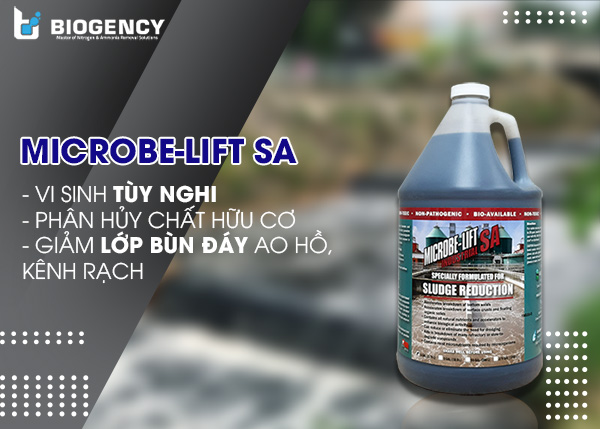 Vi sinh Microbe-Lift xử lý ô nhiễm ao hồ, kênh rạch