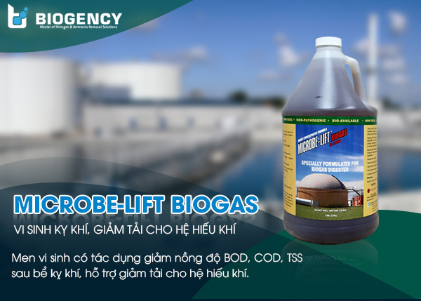 Vi sinh Microbe-Lift BIOGAS - Giảm BOD, COD, TSS sau bể kỵ khí