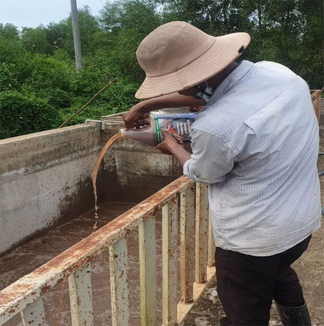 Vi sinh Microbe-Lift IND được đổ trực tiếp vào bể hiếu khí, không cần ngâm ủ