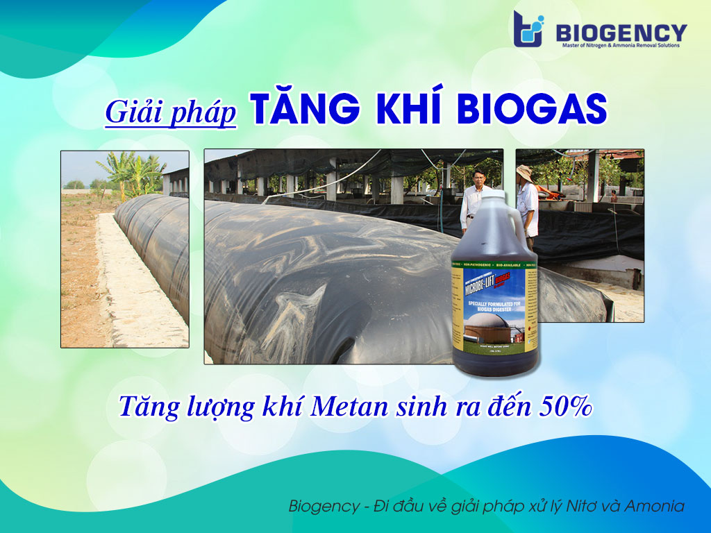 Giải pháp tăng khí Biogas
