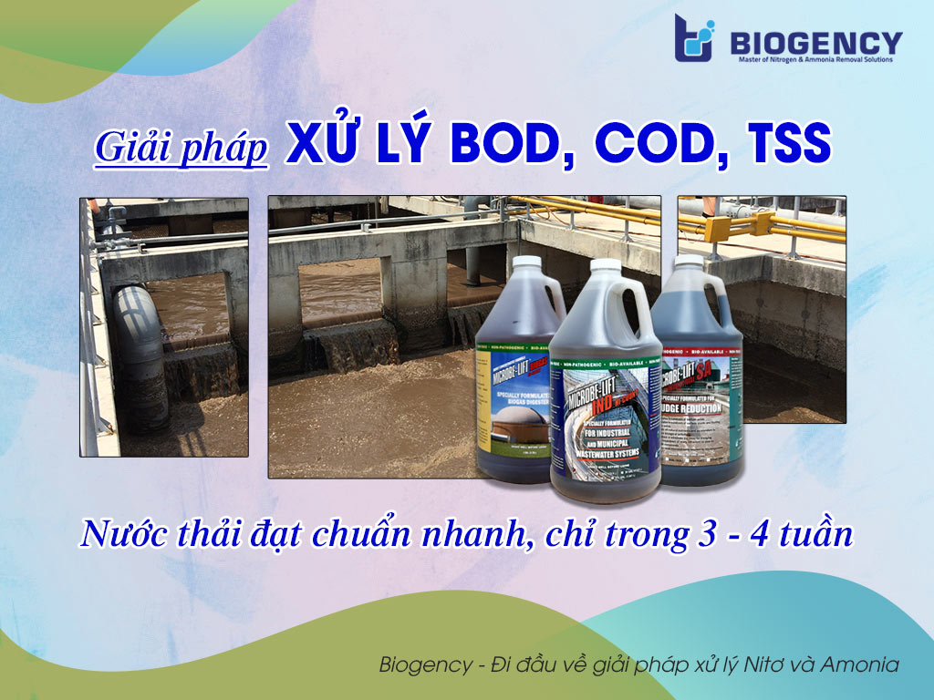 Giải pháp xử lý BOD, COD, TSS