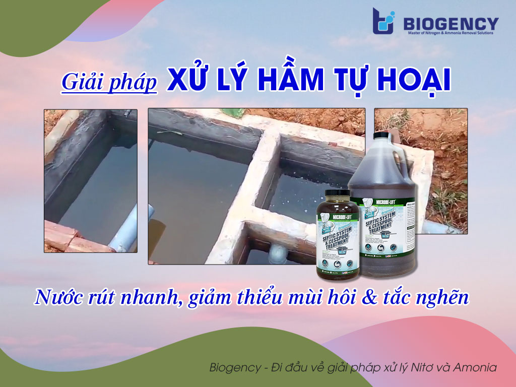 Giải pháp xử lý hầm tự hoại