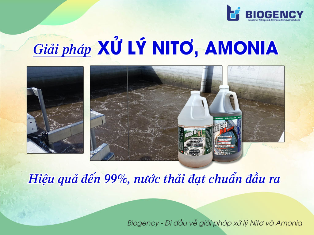 Giải pháp xử lý Nitơ, Amonia