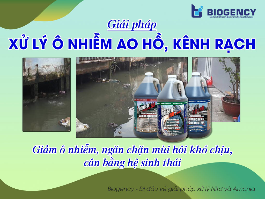 Giải pháp xử lý ô nhiễm ao hồ
