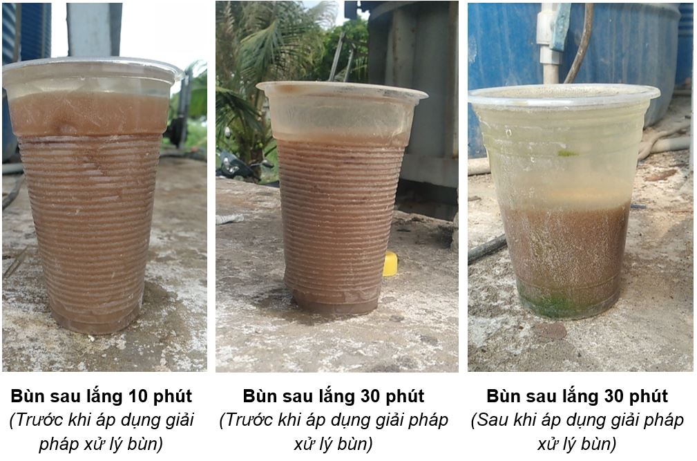 Bùn bể hiếu khí