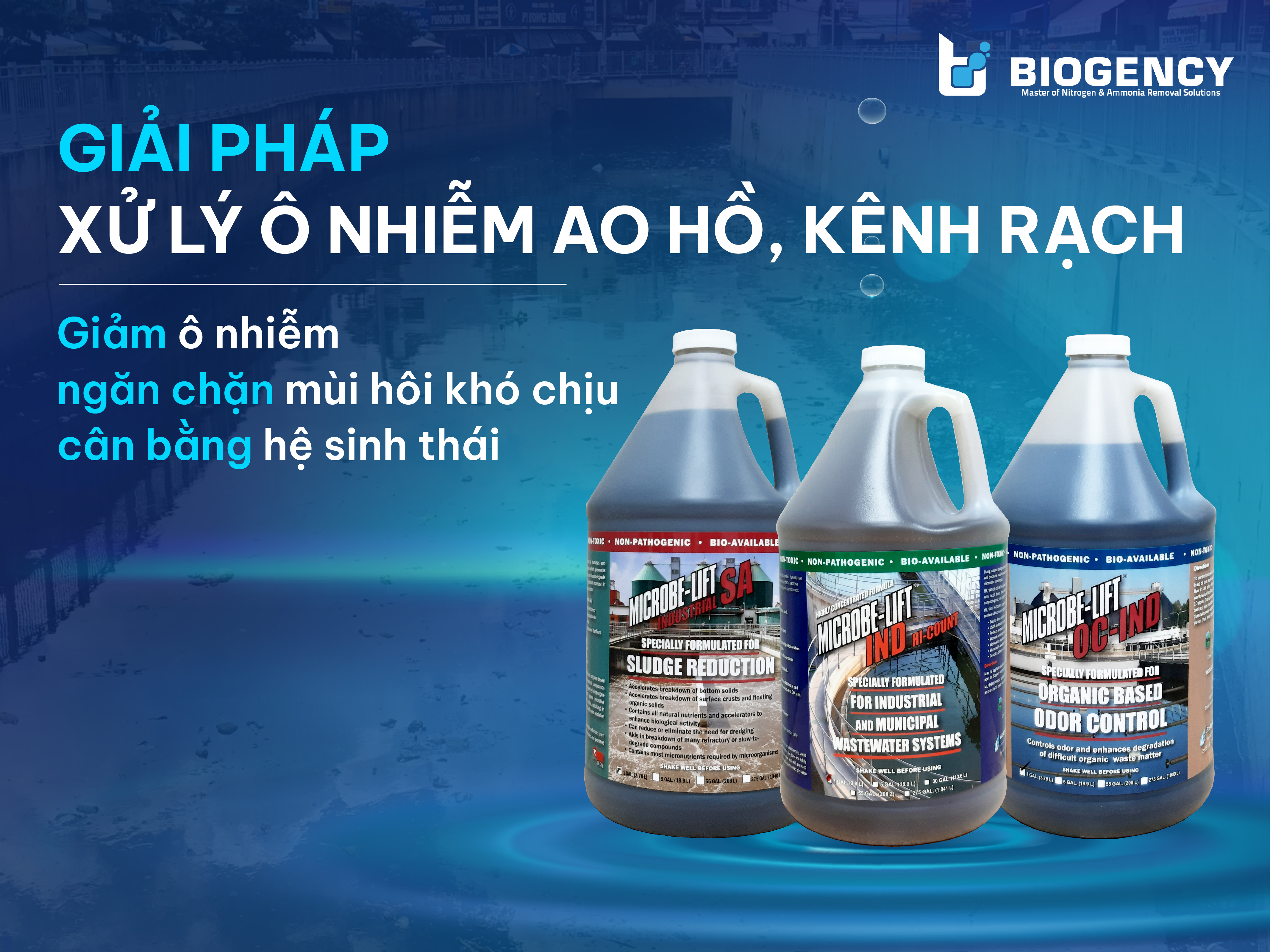 Giải Pháp Xử Lý Ô Nhiễm Ao Hồ, Kênh Rạch Giải Pháp Xử Lý Ô Nhiễm Ao Hồ, Kênh Rạch