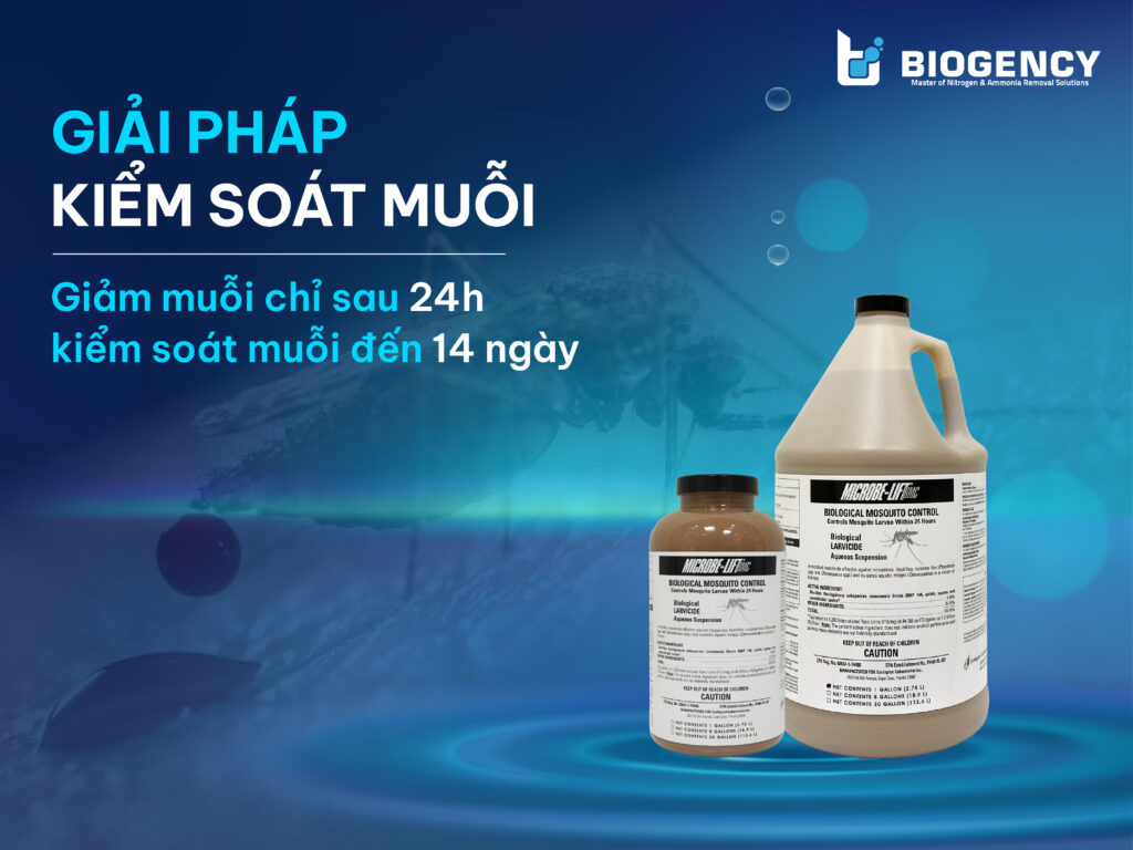 Giải Pháp Kiểm Soát Muỗi
