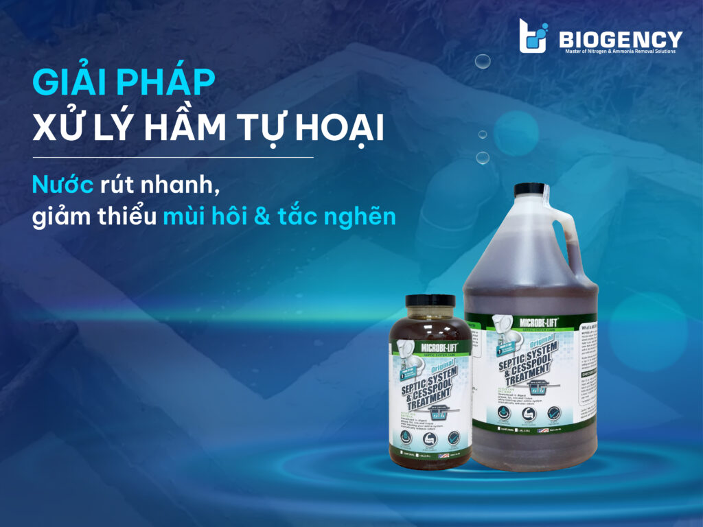 Giải Pháp Xử Lý Hầm Tự Hoại