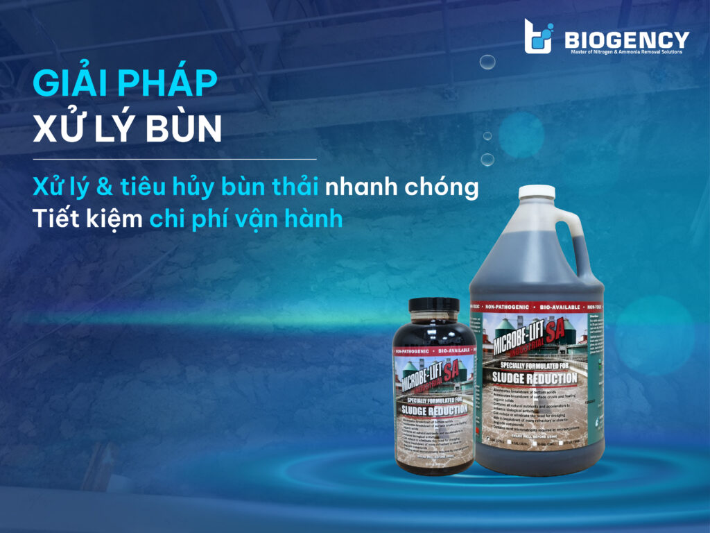 Giải Pháp Xử Lý Bùn