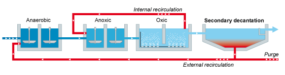 Công nghệ AAO - Biogency