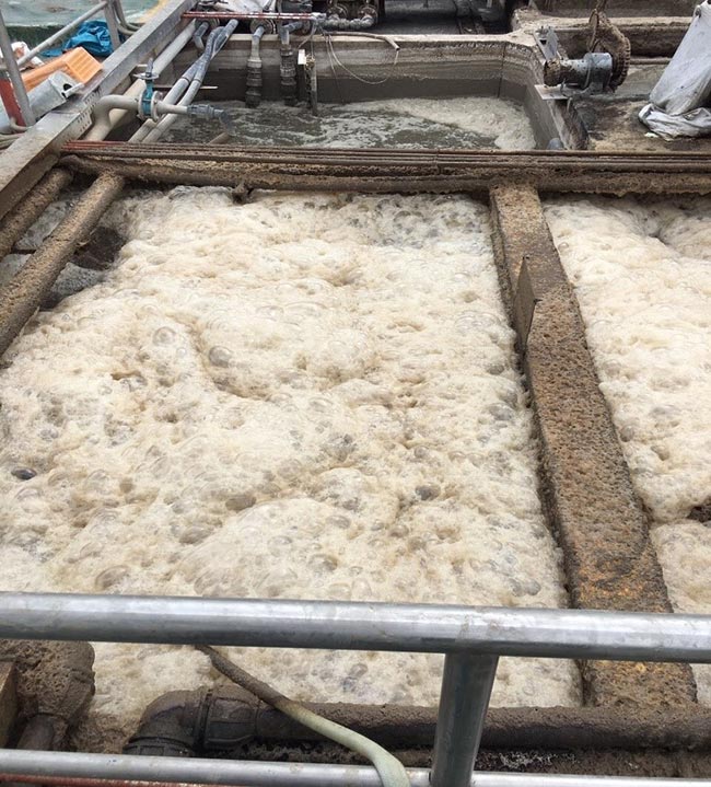 Bể sinh học hiếu khí bị sốc tải nổi bọt