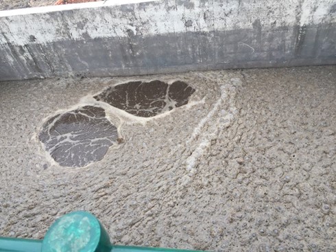 Hệ thống nước thải điển hình có nồng độ BOD cao