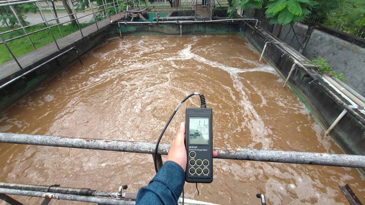 Nước thải có chỉ tiêu BOD, COD cao dẫn đến DO thấp