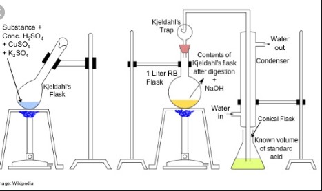 Phương pháp Kjeldahl xác định Tongot Nitơ