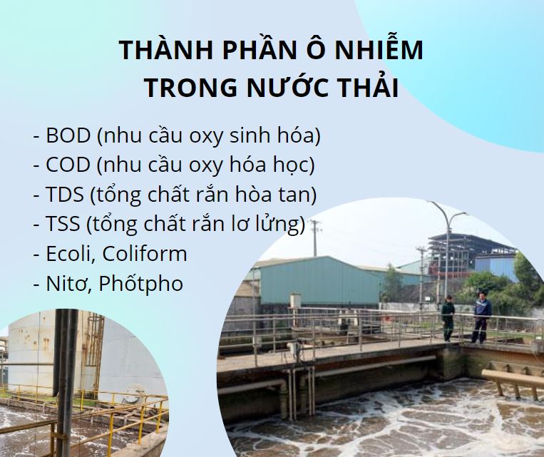 Thành phần ô nhiễm trong nước thải