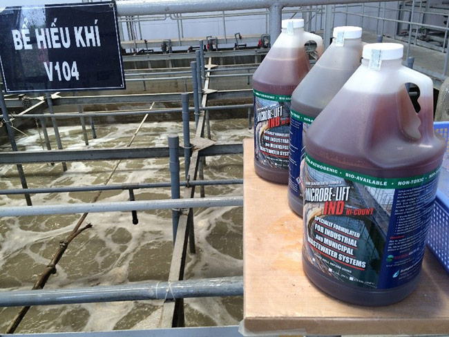 Men vi sinh Microbe-Lift IND – Xử lý hiệu quả các sự cố tại bể sinh học hiếu khí