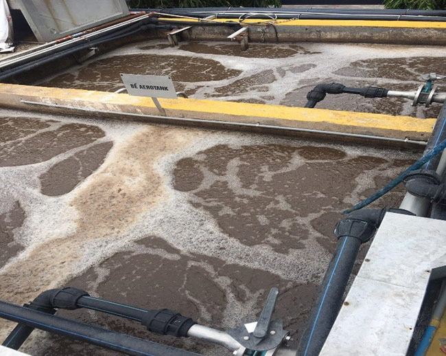 Bể sinh học hiếu khí sau 10 ngày dùng Microbe-Lift IND