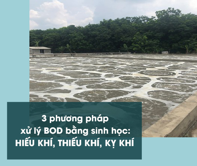 Kết hợp cả 3 phương pháp hiếu khí, thiếu khí và kỵ khí để xử lý BOD cho hiệu quả