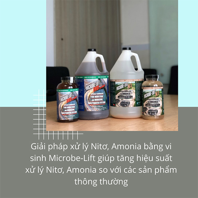 Giải pháp xử lý Nitơ và Amonia bằng Microbe-Lift