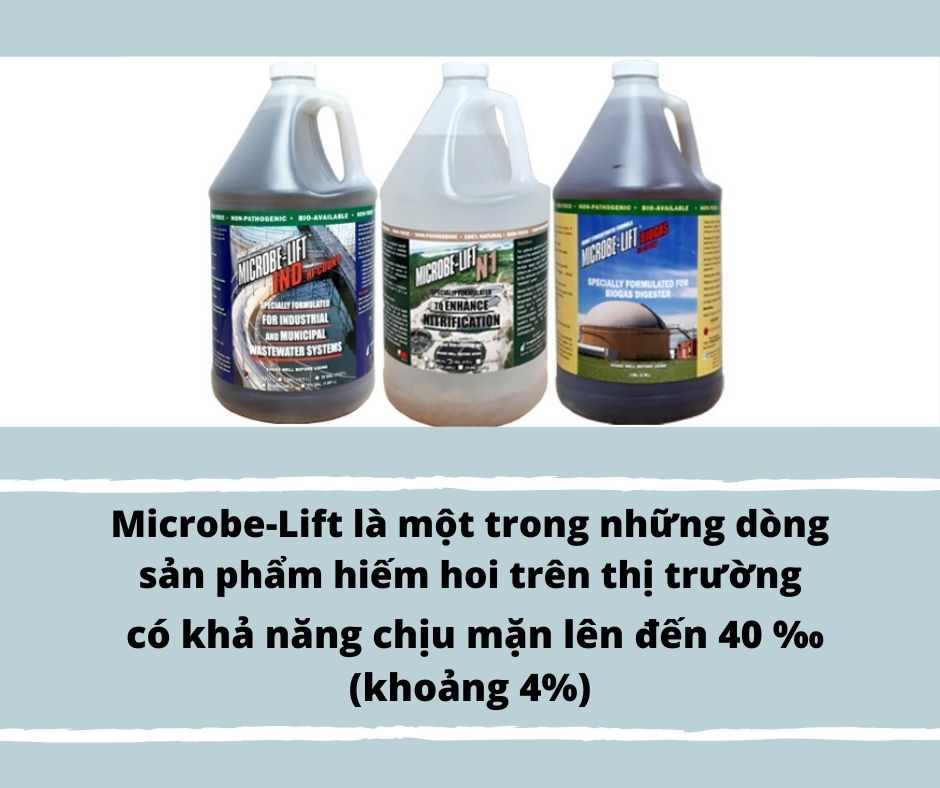 Microbe-Lift là một trong những dòng sản phẩm hiếm hoi trên thị trường có khả năng chịu mặn lên đến 40 ‰ (khoảng 4%)
