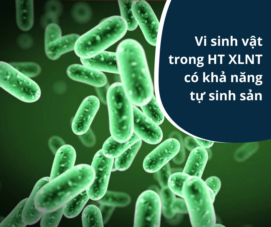 Vi sinh vật trong phương pháp xử lý nước thải bằng sinh học có khả năng tự sinh sản, giúp giảm đáng kể chi phí duy trì vận hành hệ thống