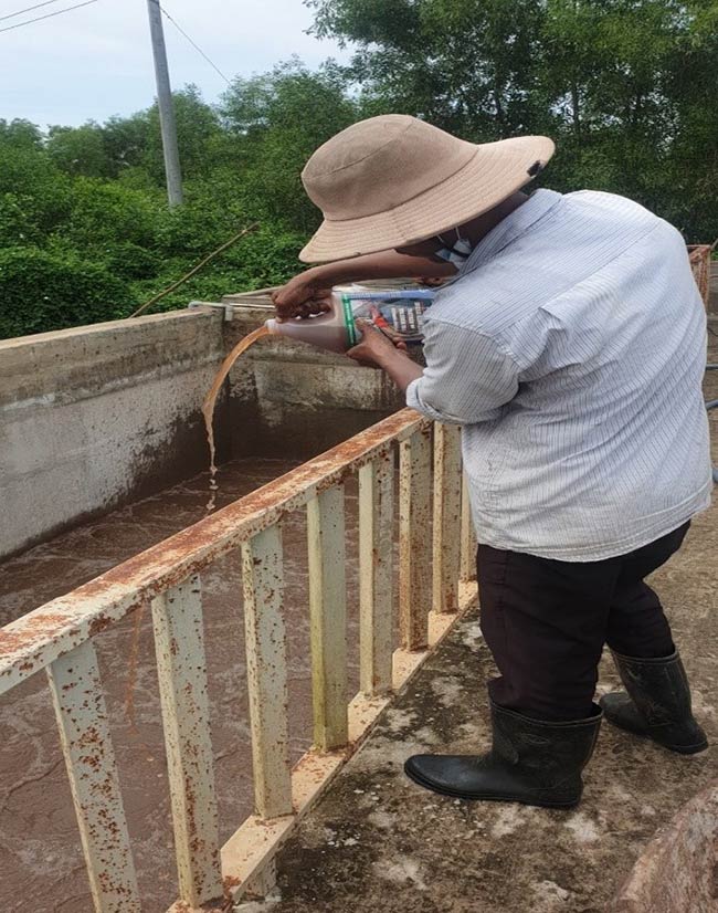 Bổ sung men vi sinh Microbe-Lift IND vào bể sinh học hiếu khí