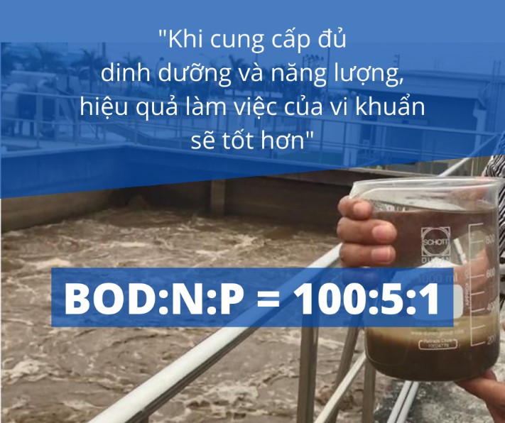 Tỷ lệ dinh dưỡng cần thiết trong bể xử lý nước thải