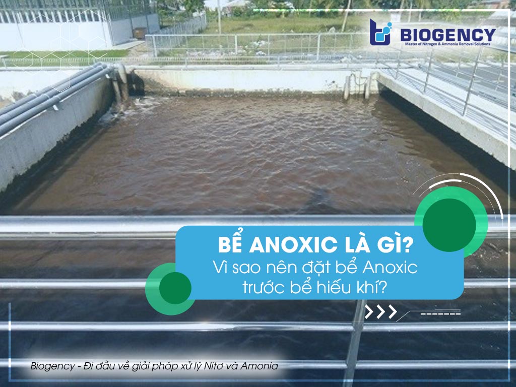 Bể Anoxic là gì? Vì sao nên đặt bể Anoxic trước bể hiếu khí Aerotank?