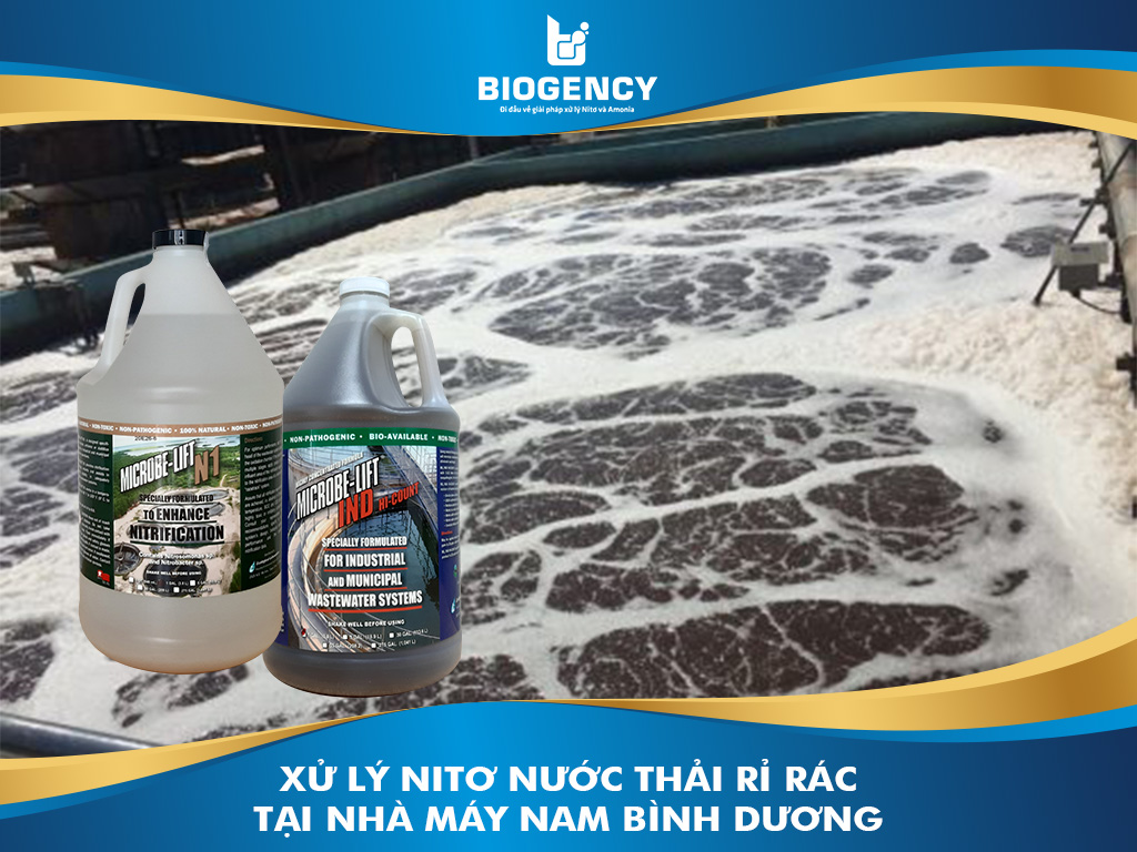 Xử lý Nitơ, Amonia đạt chuẩn loại A - Nhà máy xử lý nước thải rỉ rác Nam Bình Dương
