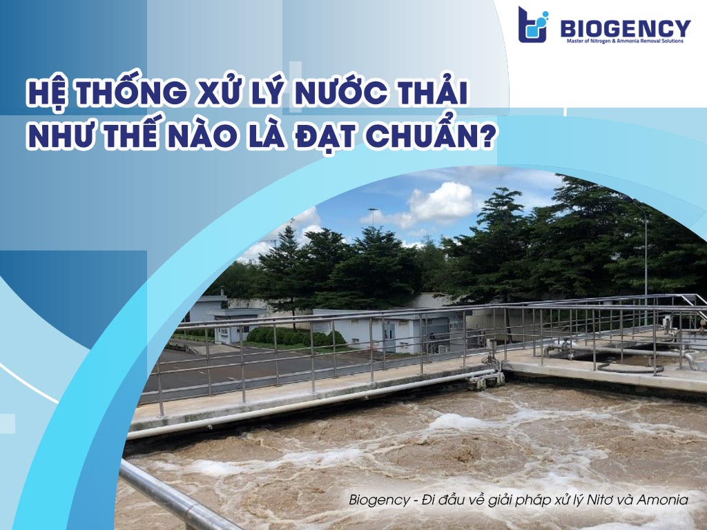 Hệ thống xử lý nước thải đạt chuẩn