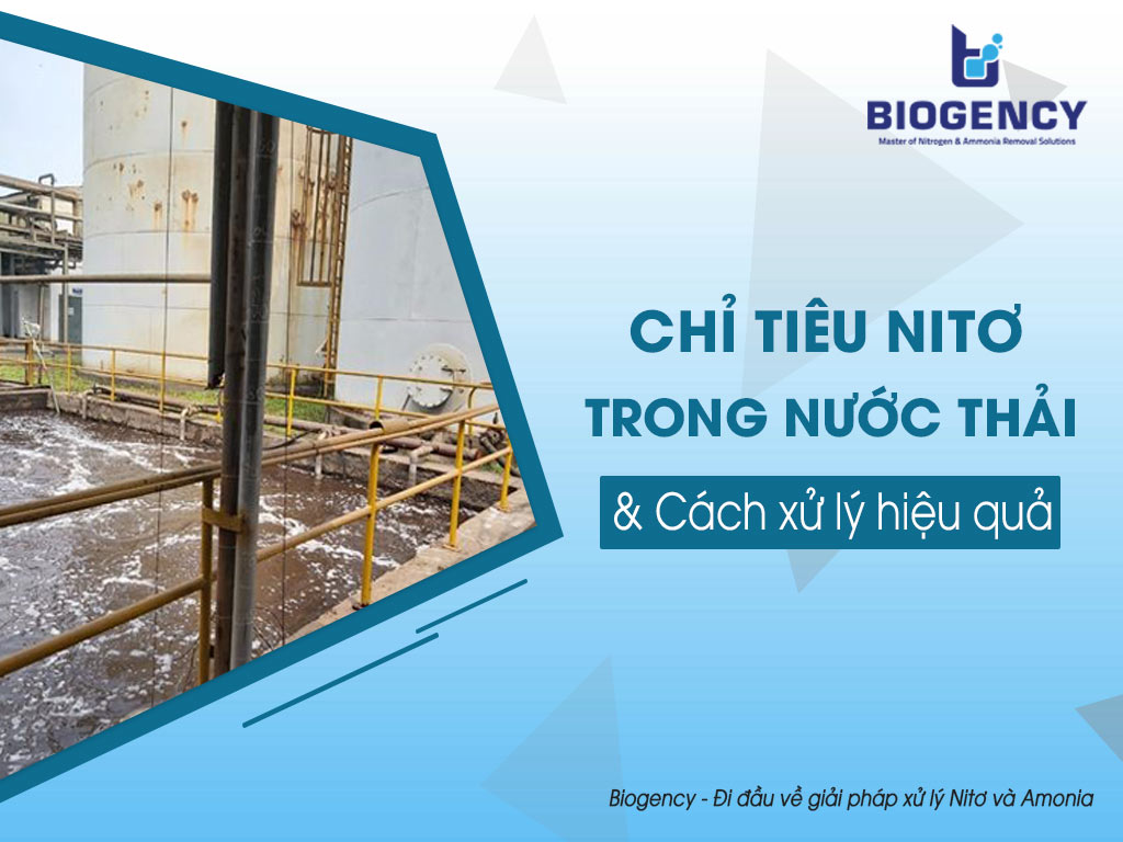 Nitơ trong nước thải