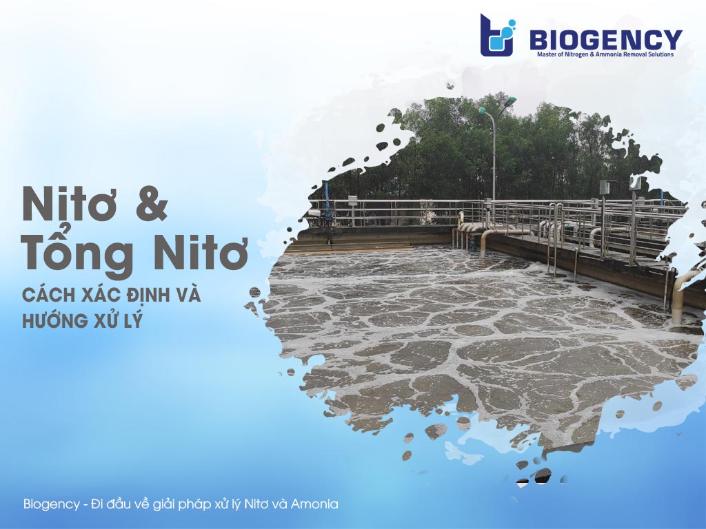 Nitơ và tổng Nitơ