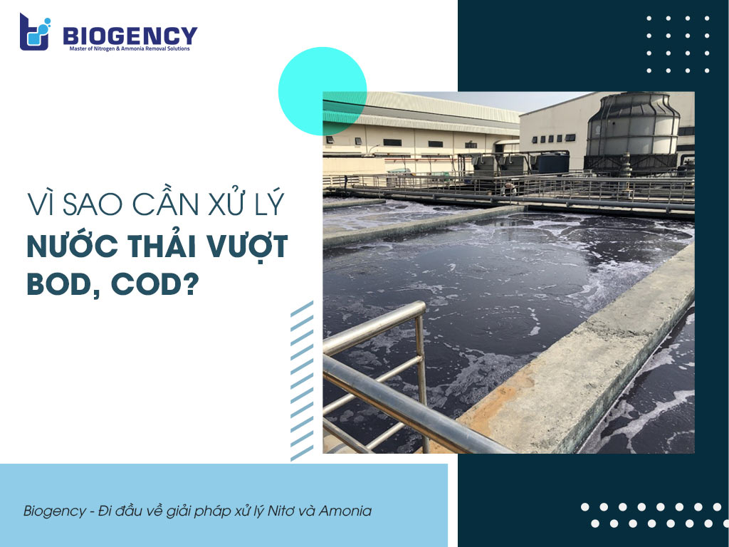 Vì sao cần xử lý nước thải vượt BOD, COD?