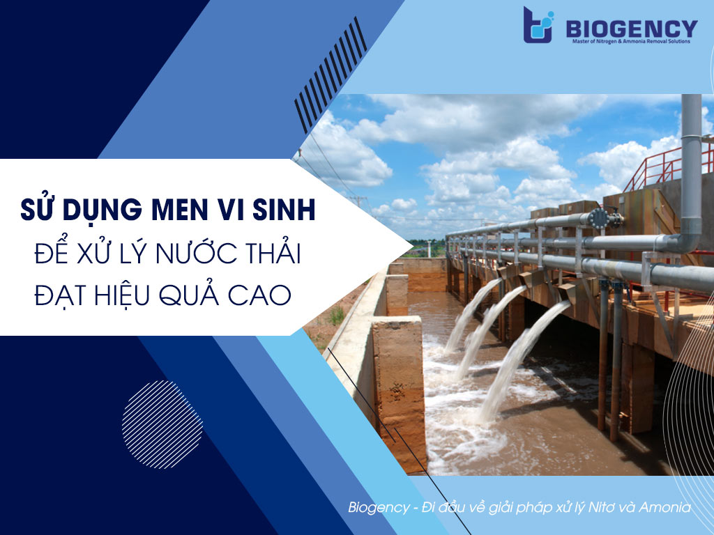 Sử dụng men vi sinh để xử lý nước thải