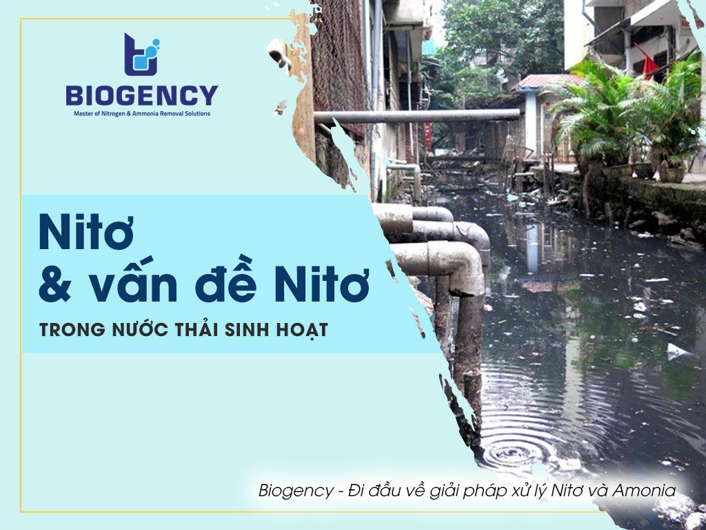 Vấn đề Nitơ trong nước thải sinh hoạt