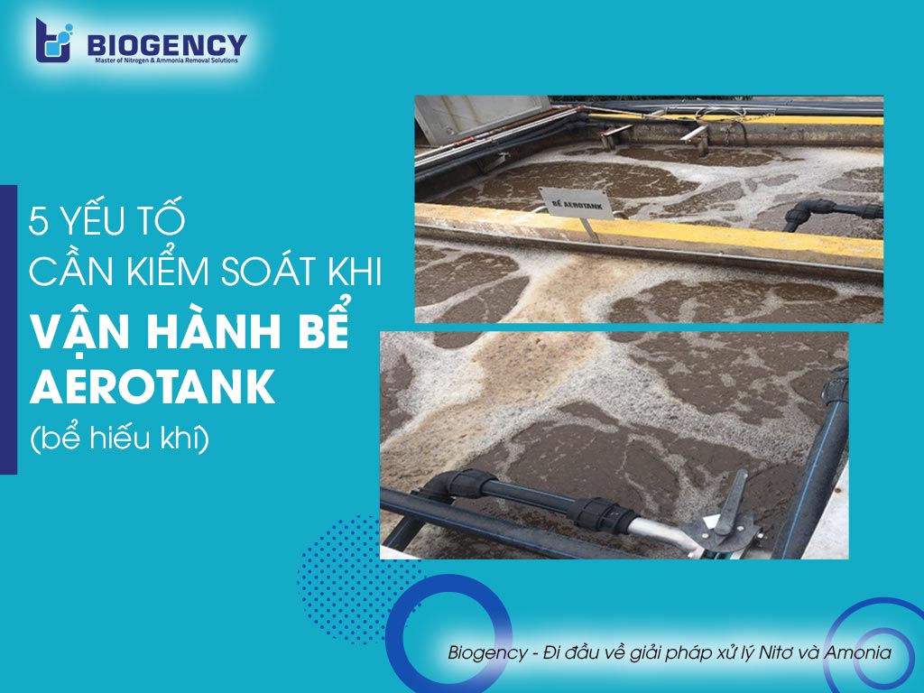 5 yếu tố cần kiểm soát khi vận hành Bể sinh học hiếu khí Aerotank