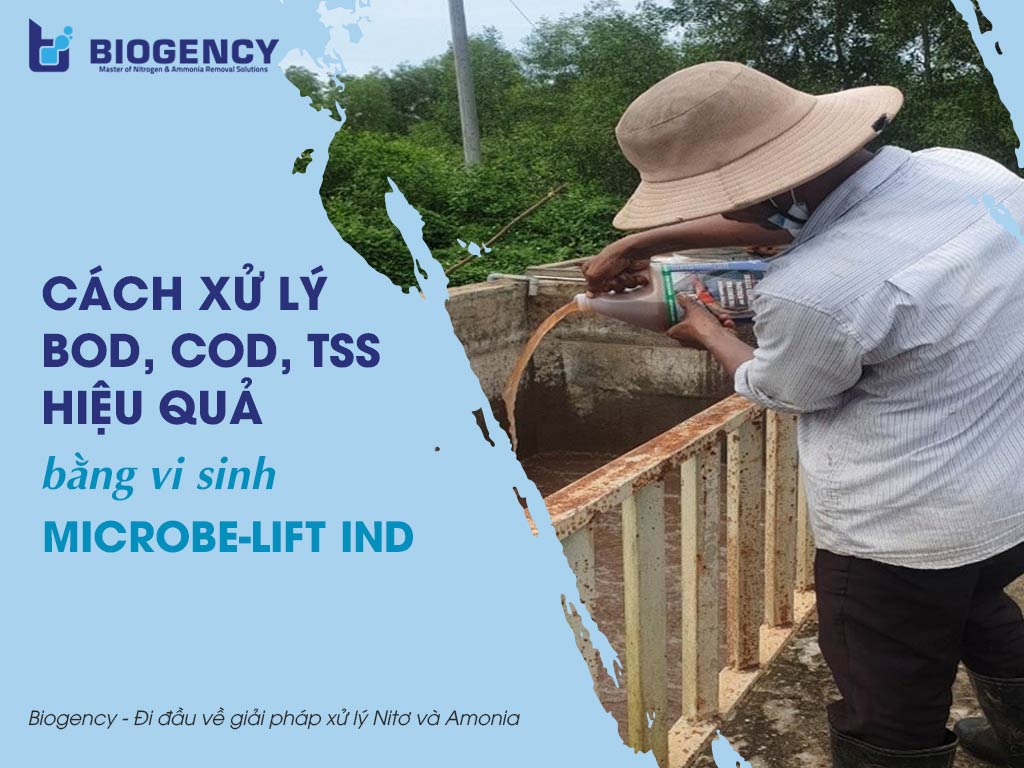 Xử lý bod cod tss bằng vi sinh