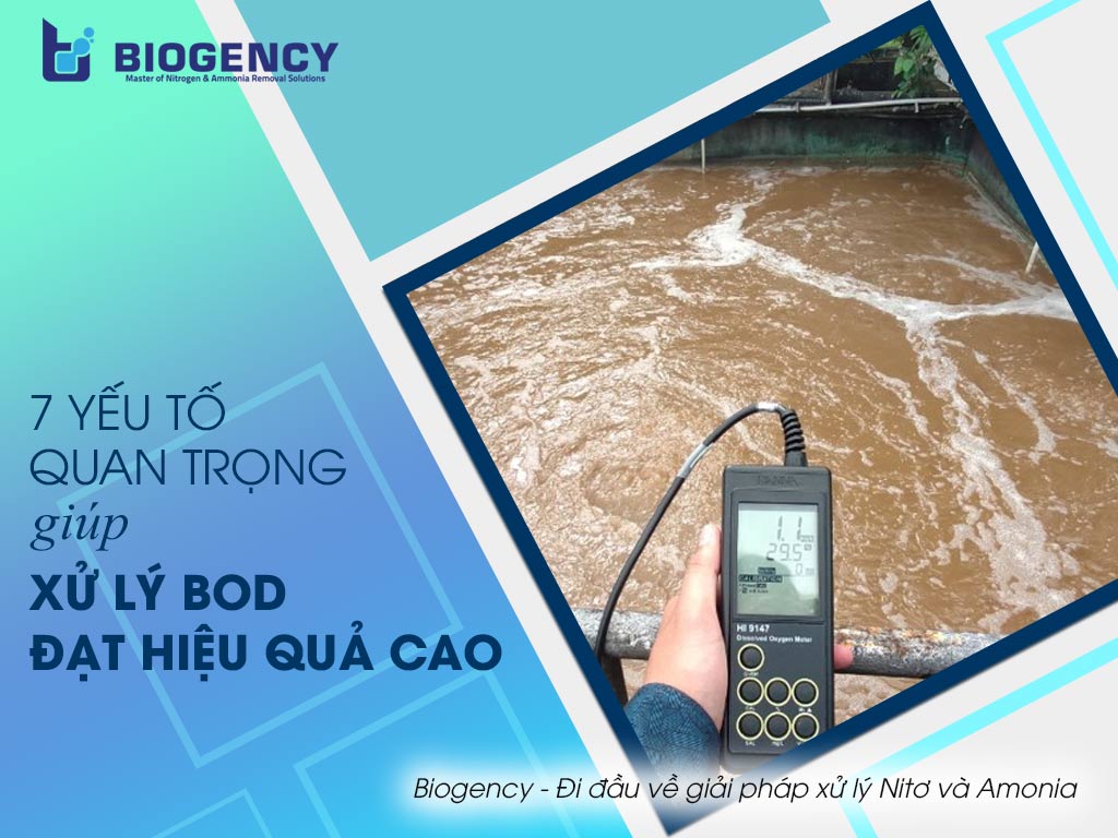 Xử lý bod đạt hiệu quả