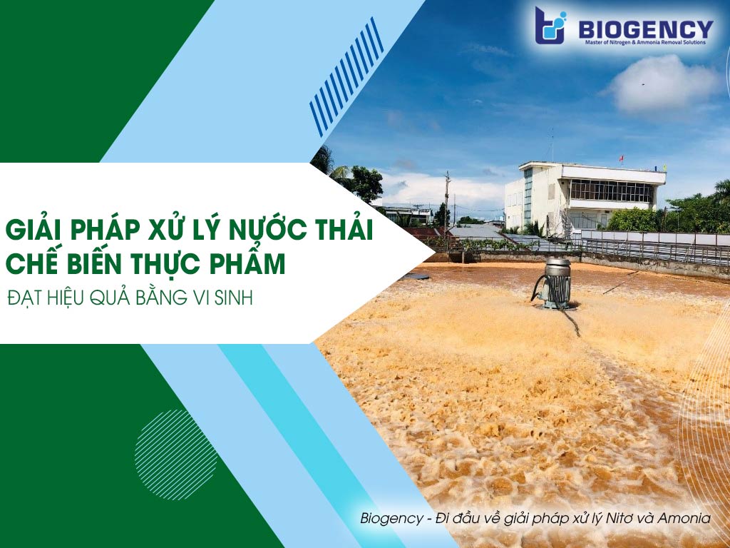 Xử lý nước thải chế biến thực phẩm