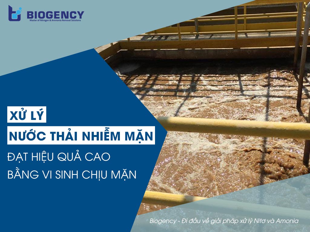 Xử lý nước thải nhiễm mặn