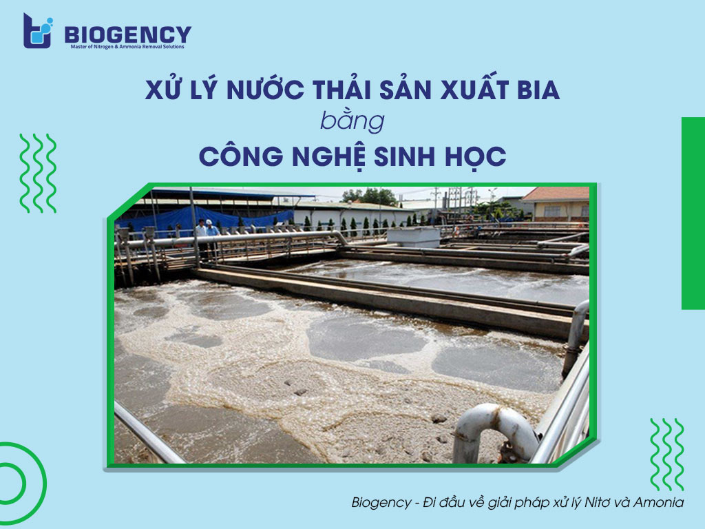 Xử lý nước thải sản xuất bia hiệu quả bằng Công nghệ sinh học