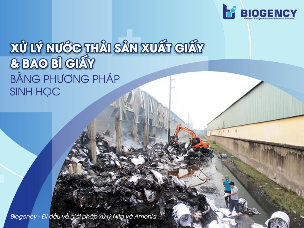 Xử lý nước thải sản xuất giấy & Bao bì giấy bằng phương pháp sinh học