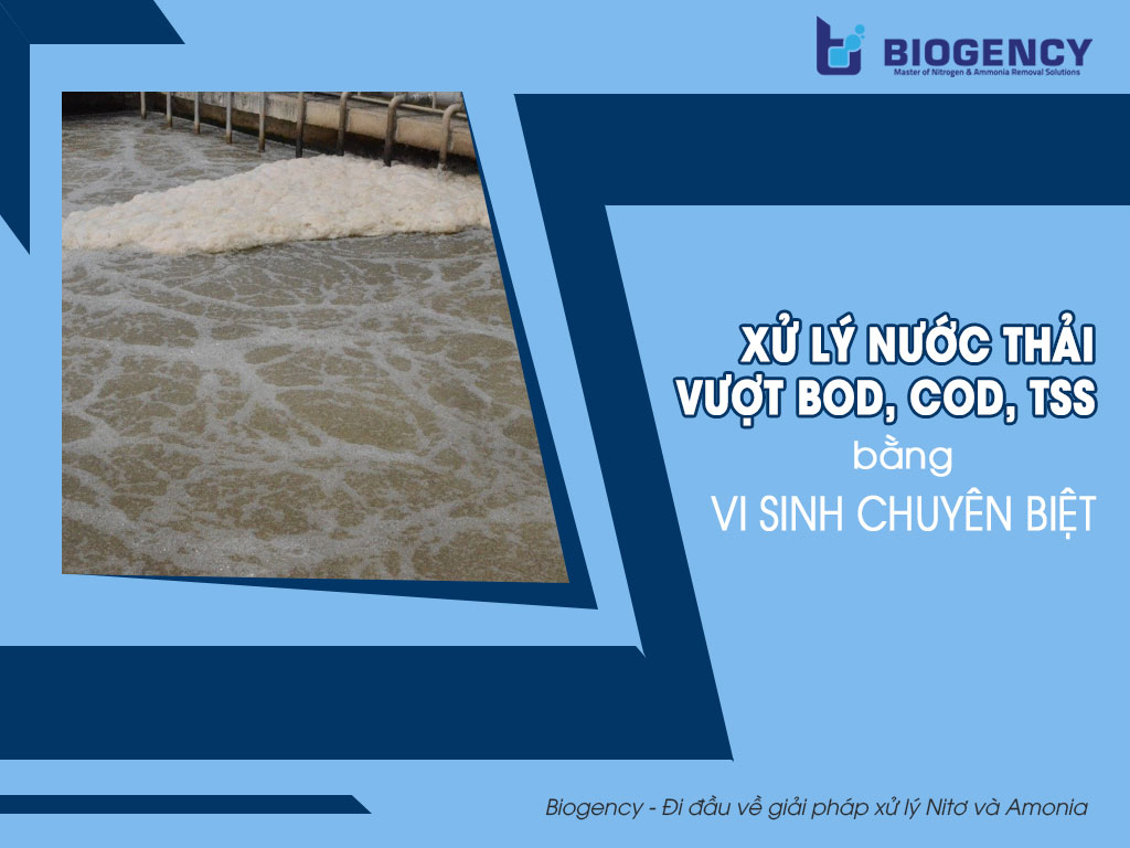 Xử lý nước thải vượt BOD, COD, TSS bằng men vi sinh chuyên biệt